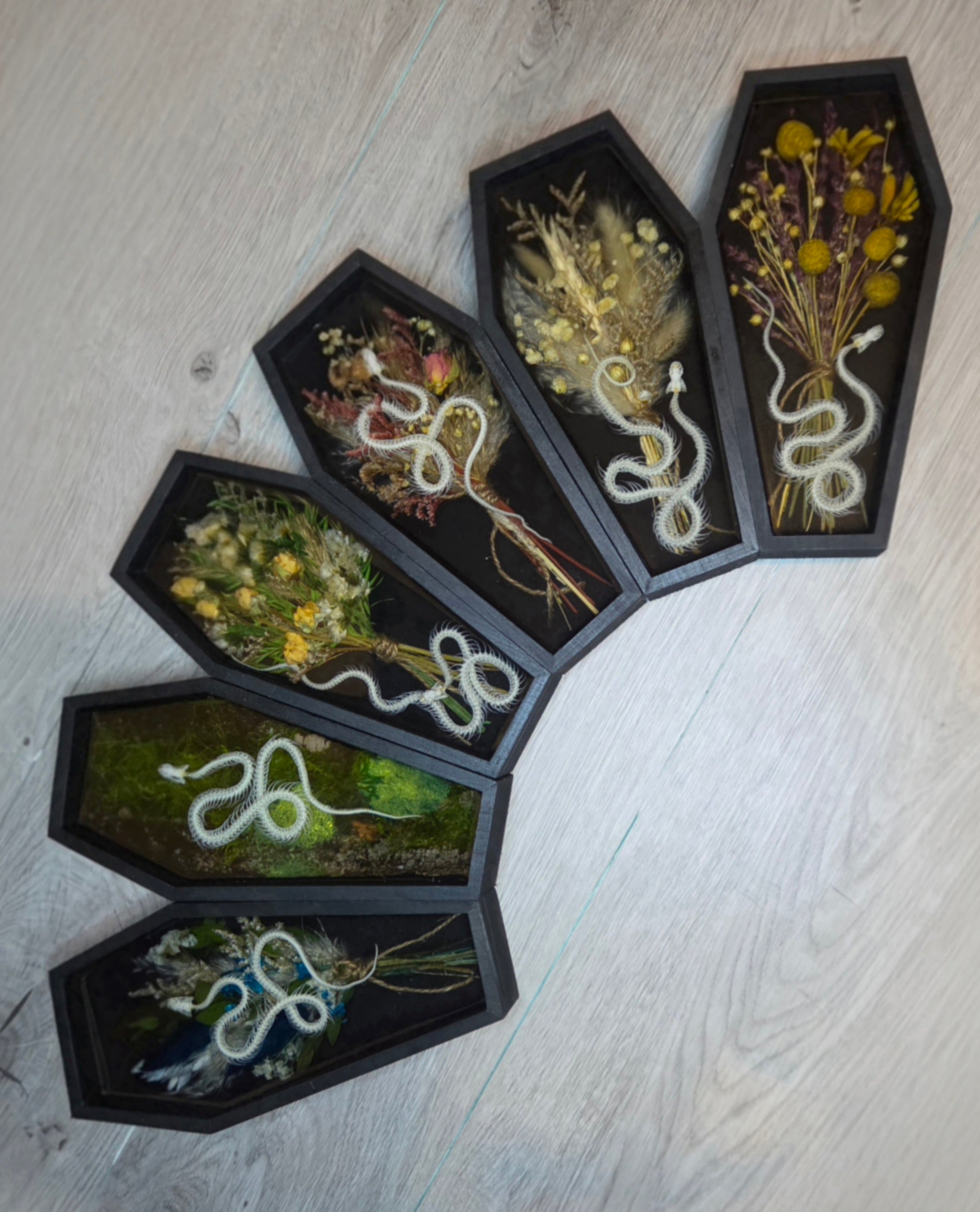 The Serpent Collection