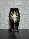Handcrafted Raccoon Skull & Botanical Memento Mori in Shadow Box Coffin