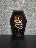 The Serpent’s Herbarium Coffin Display