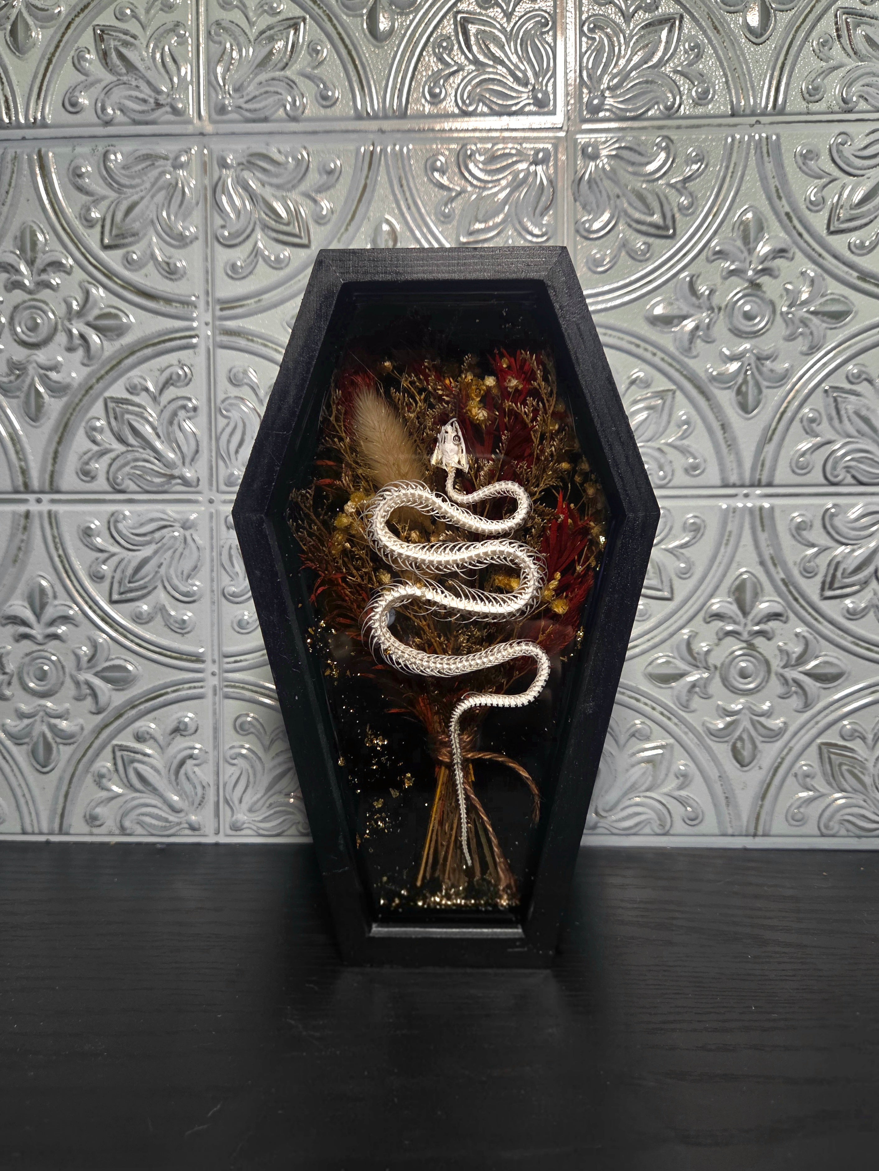 The Serpent’s Herbarium Coffin Display
