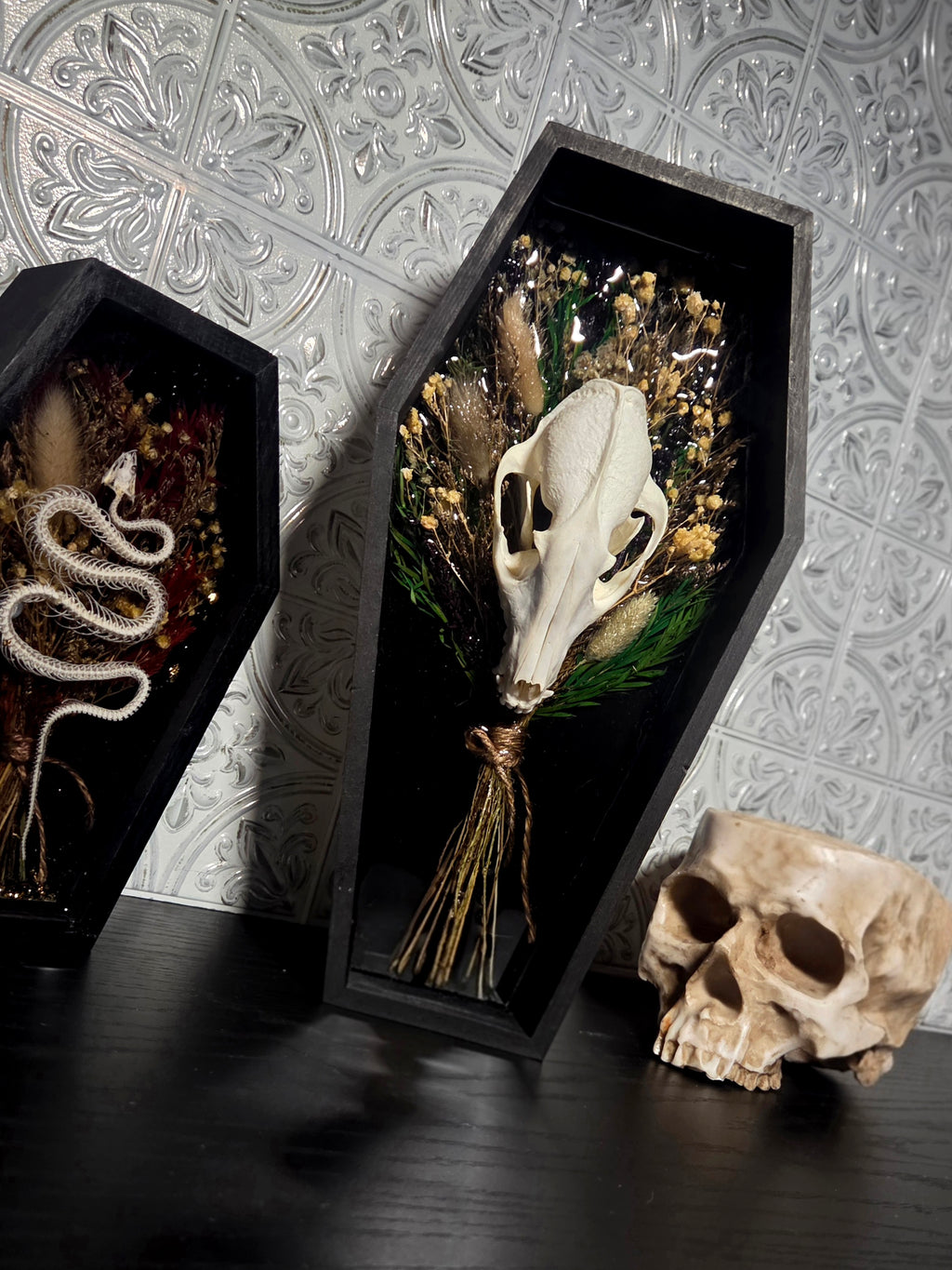 The Serpent’s Herbarium Coffin Display