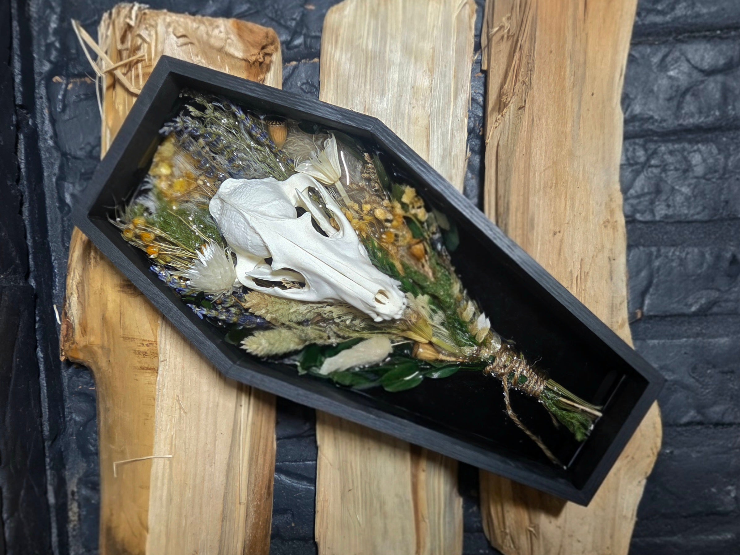 The Golden Meadow Procyon