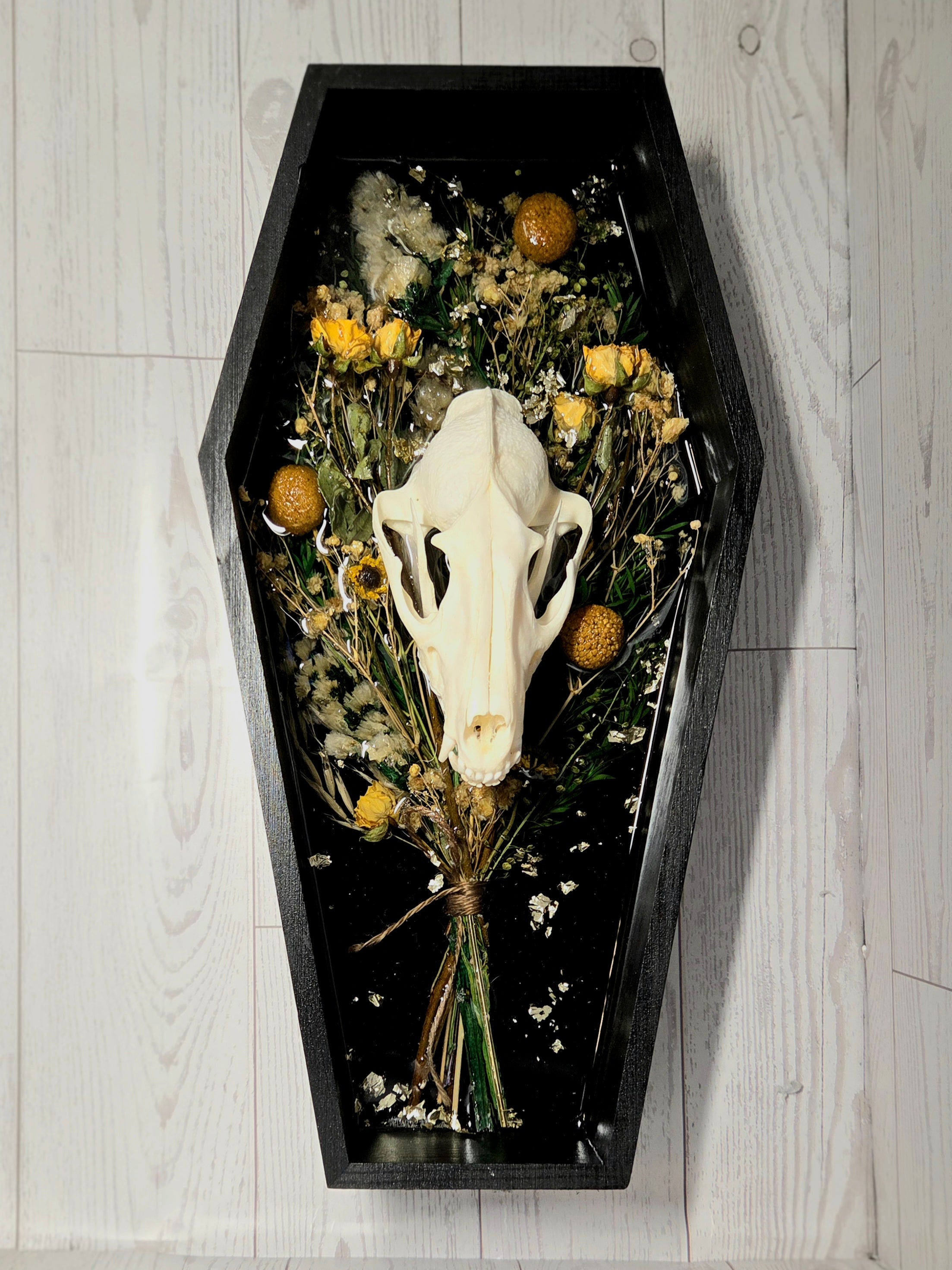 The Sun Drenched Scavenger (Raccoon)