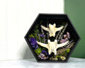Deer Vertebrae Set of 1