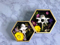 The Wildwood Vertebrae Set of 2