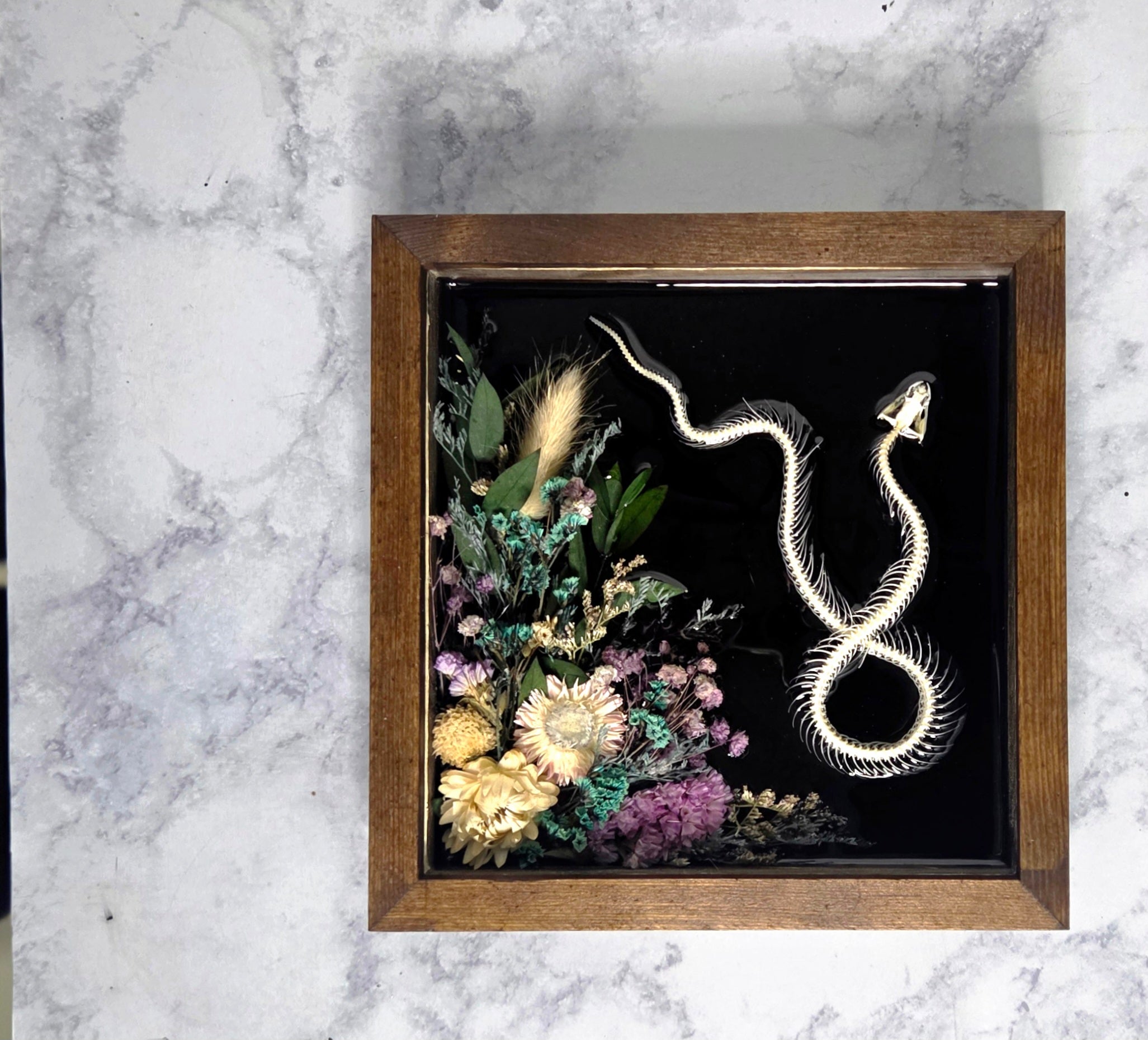 Serpent XXX