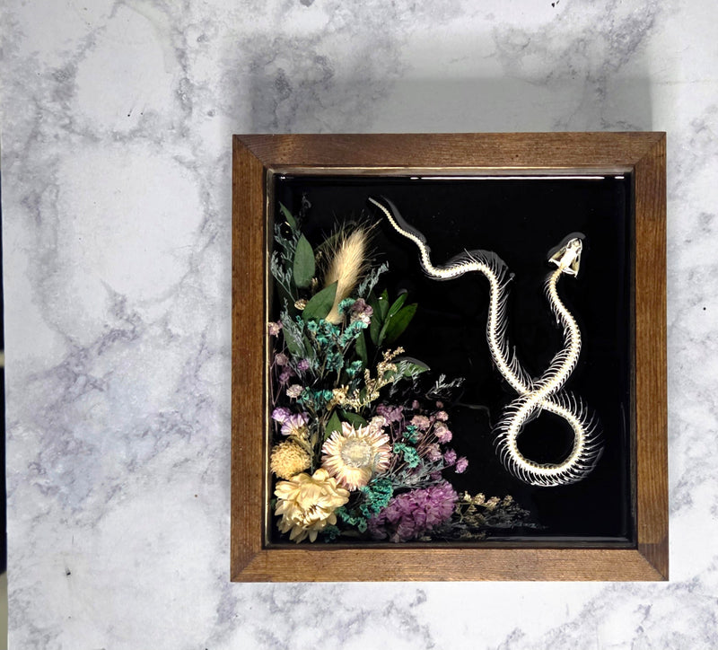 Serpent XXX