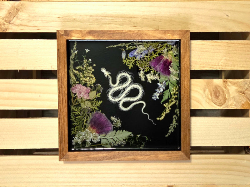 Serpent XXXIV