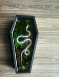 Serpent XXI