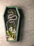 Serpent XXV
