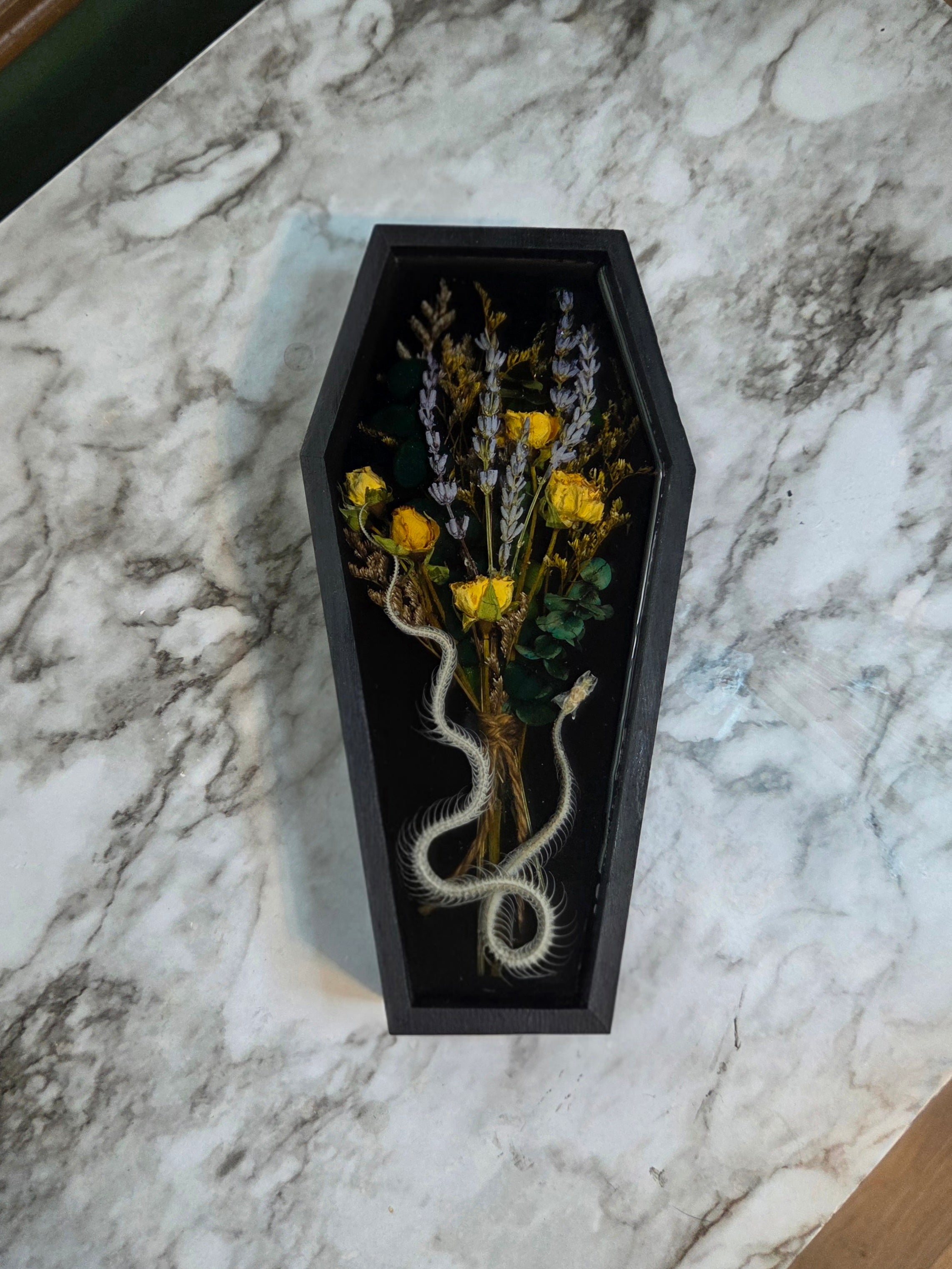 Serpent XI