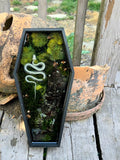 Serpent in the Moss