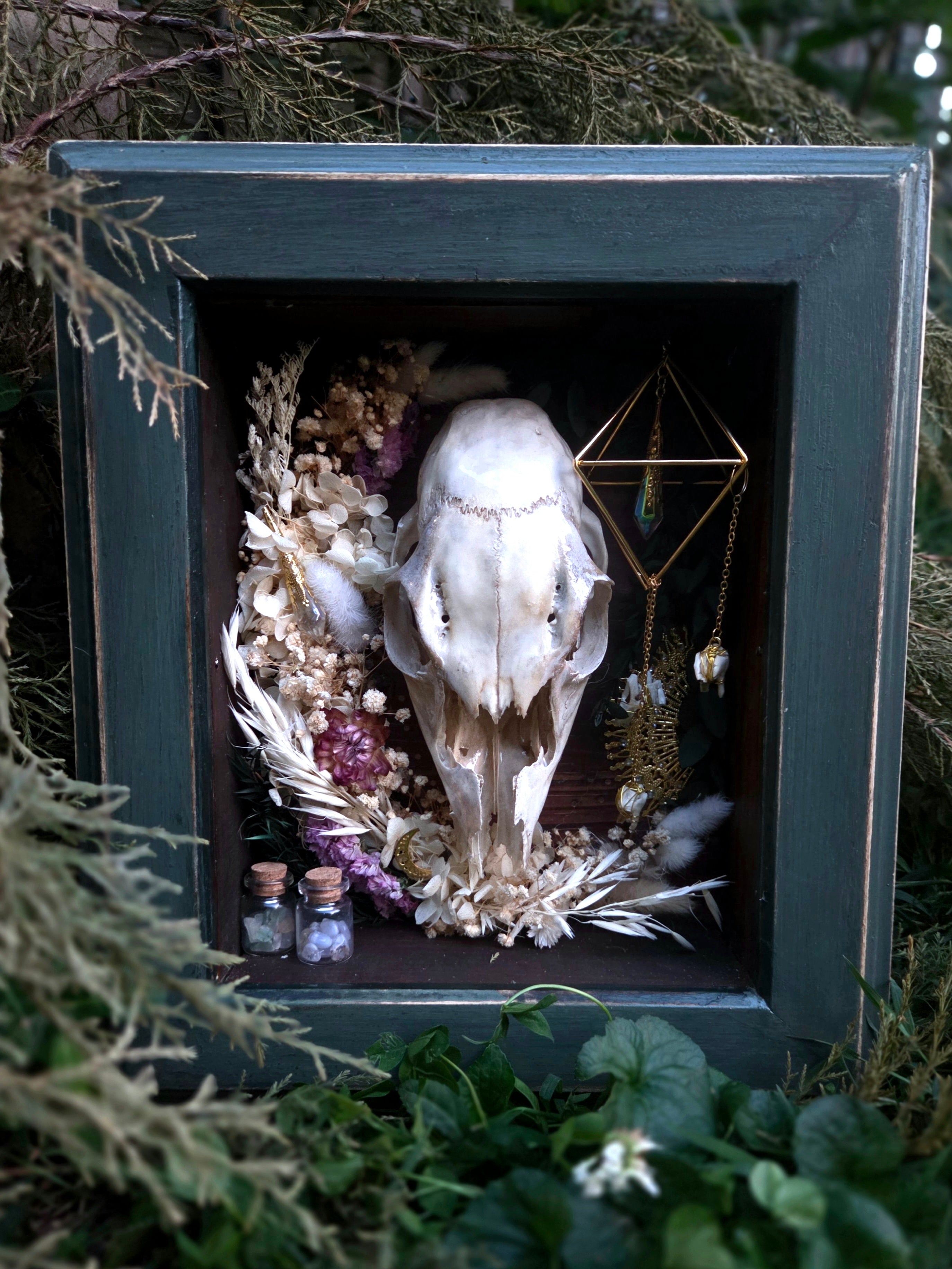 Deer Shadowbox