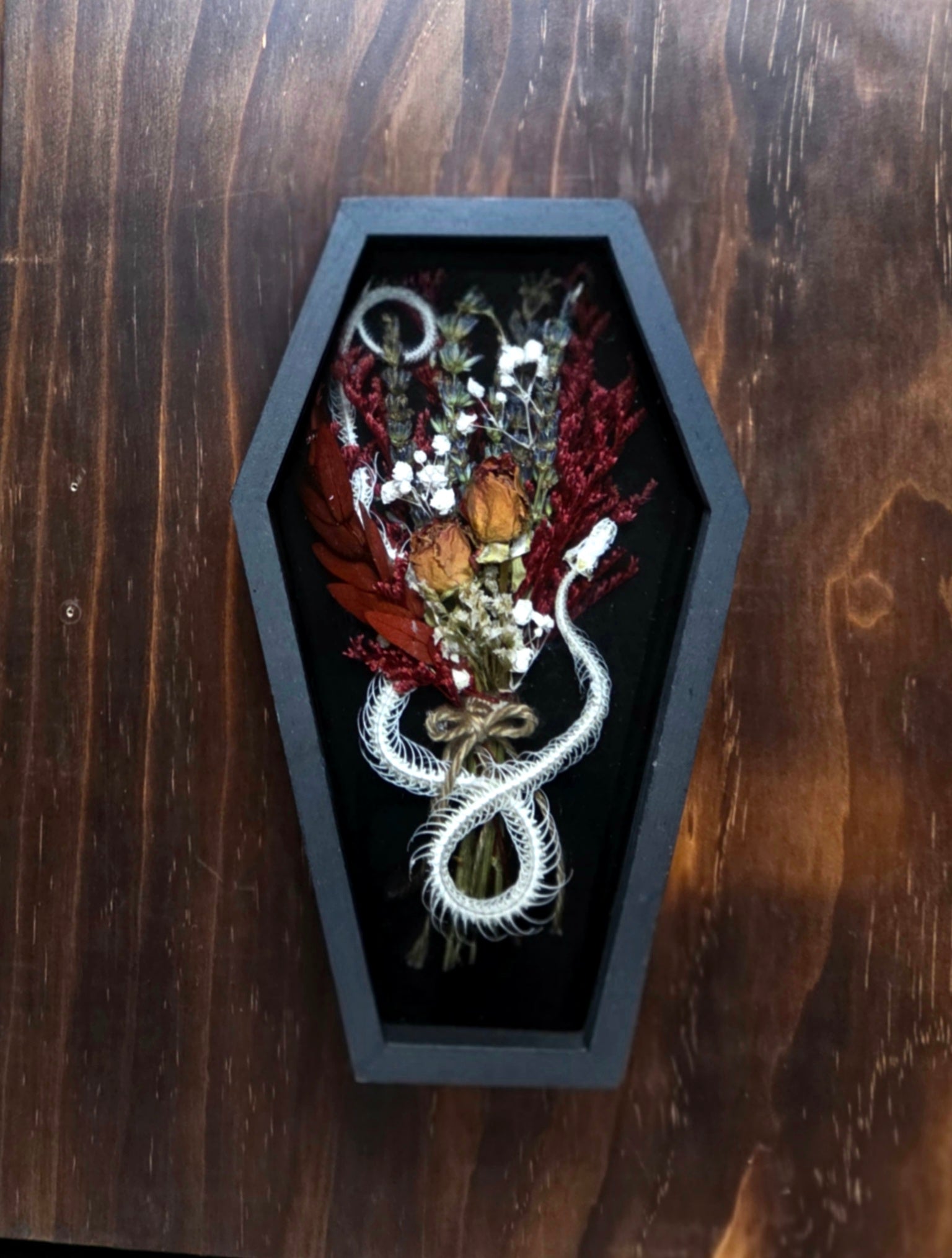 Serpent XVII