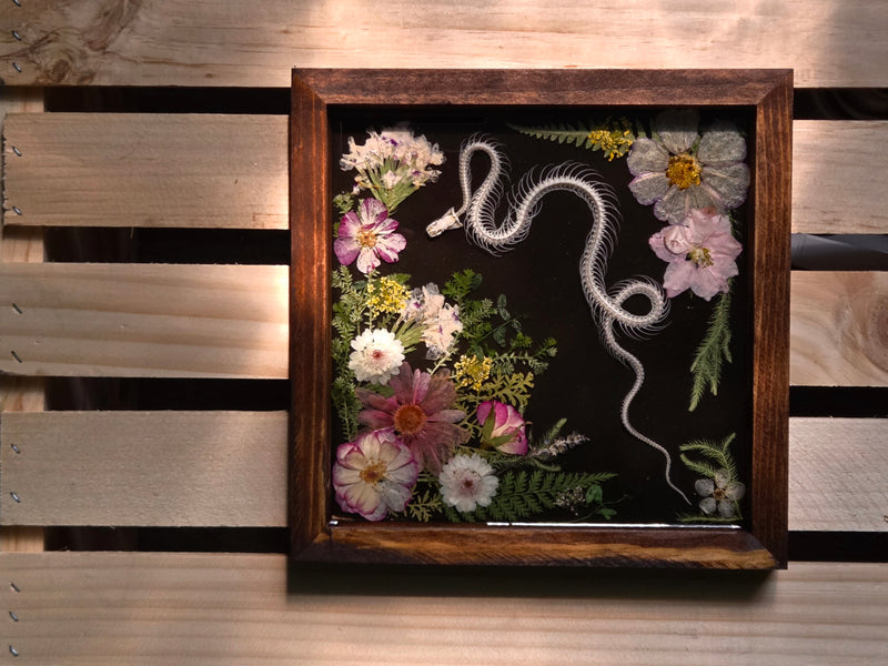 Serpent XXXII