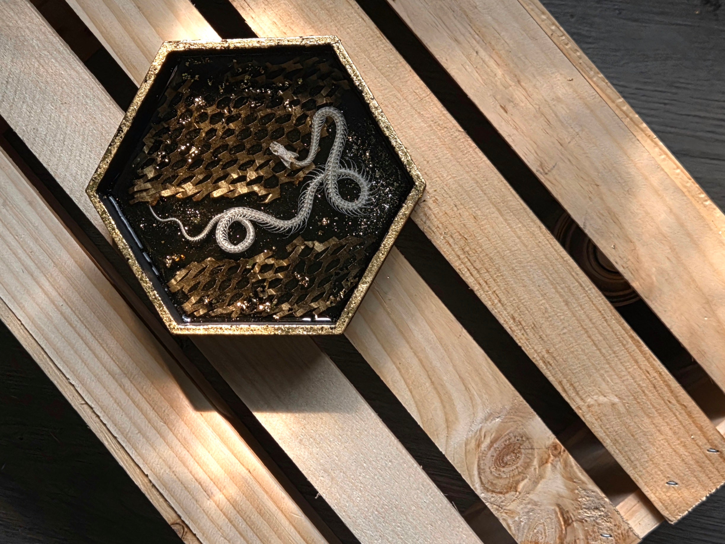 Serpent XXXVI