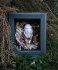 Deer Shadowbox
