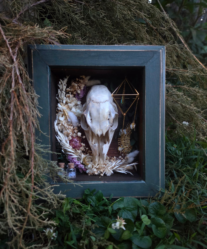 Deer Shadowbox