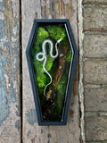 Serpent X
