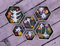 The Wildwood Vertebrae Set